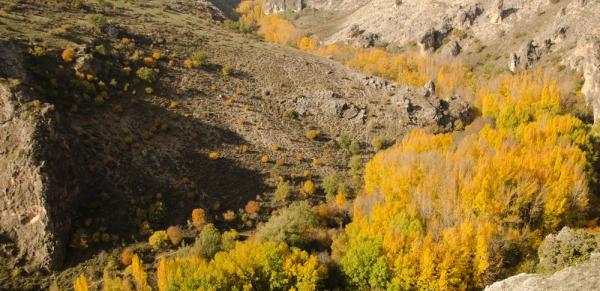 20151025-ca-on-de-rio-dulce-pelegrina-140