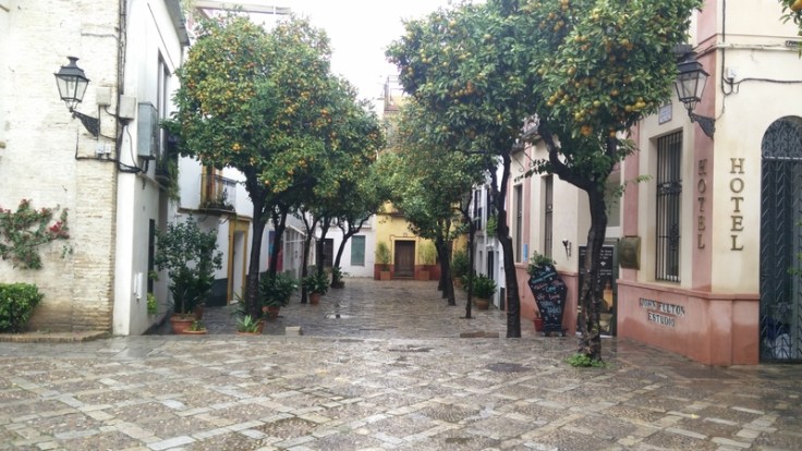 img_20161204_103516_zpsk1wdxjls